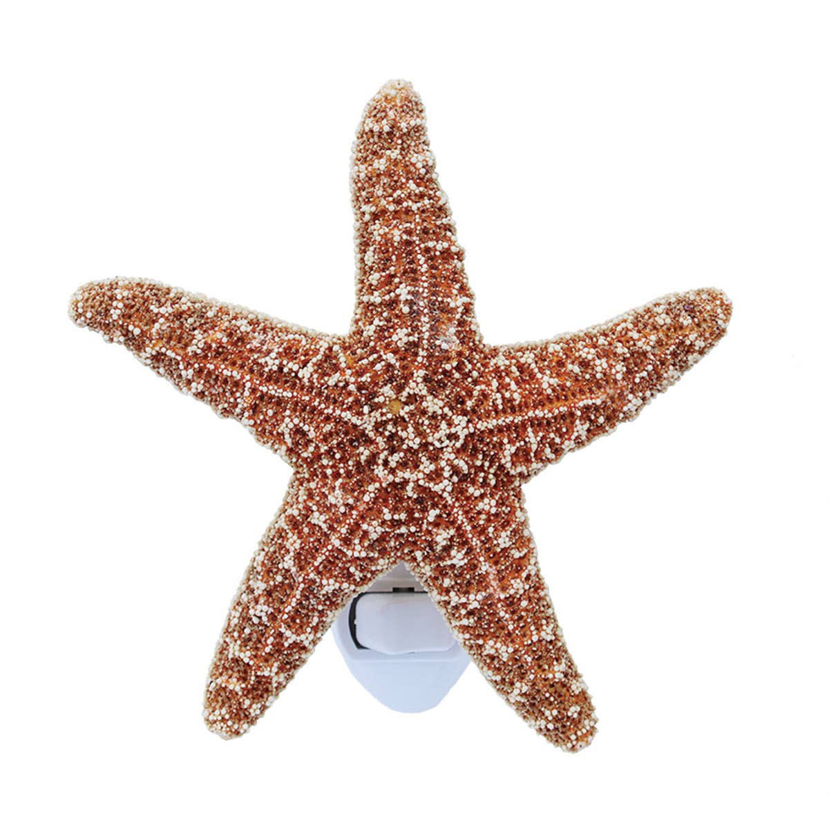 Sugar Starfish Night Light