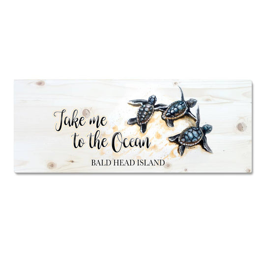 5x12 Take Me to The Ocean- Baby Turtles-Custom Location