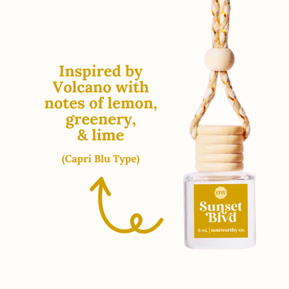 Car Diffusers | Spring & Summer Scents