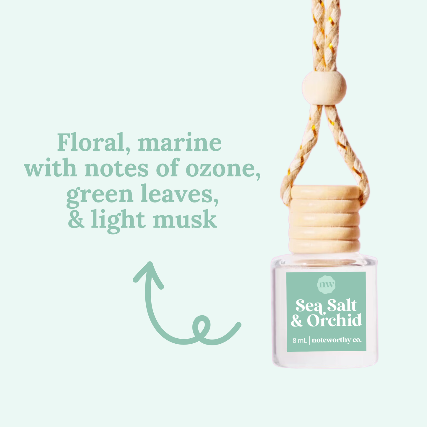 Car Diffusers | MOST POPULAR